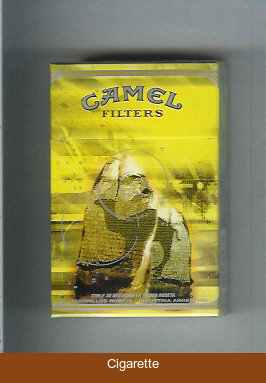 Camel 1799 Se Descubre La Piedra Roseta cigarettes hard box