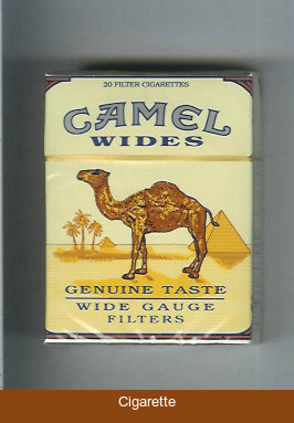 Camel Wides Filters Genuine Taste Wide Gauge cigarettes hard box