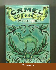Camel Wides Menthol Art Issue cigarettes hard box