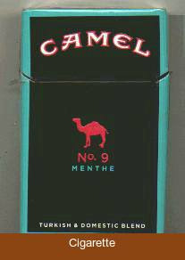 Camel No.9 Menthe cigarettes hard box