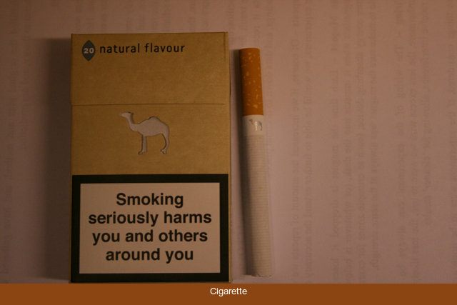 Camel Since 1913 Natural Flavour cigarettes hard box