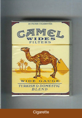 Camel Wides Filters Wide Gauge Turkish Domistic Blend cigarettes hard box