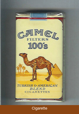 Camel Filters 100s cigarettes soft box