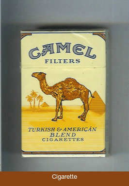 Camel Filters cigarettes hard box