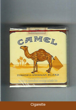 Camel Turkish American Blend cigarettes 25 soft box