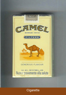 Camel Filter Generous Flavour cigarettes soft box
