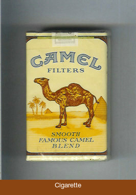 Camel Filters cigarettes soft box king size