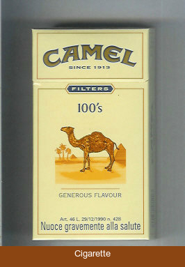 Camel Filter Generous Flavour 100s cigarettes hard box