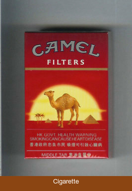 Camel with sun Filters cigarettes Hard box