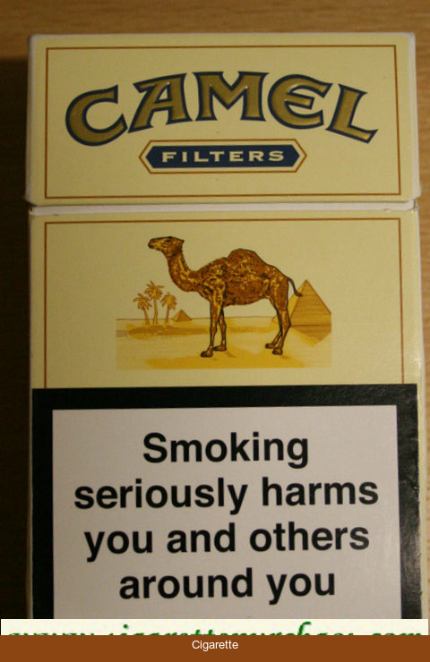 Camel Since 1913 Full Strength cigarettes hard box