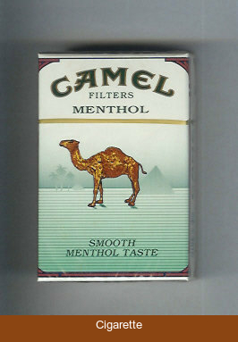 Camel Menthol Filters Smoosh Menthol Taste cigarettes hard box