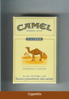 Camel Filter Generous Flavour cigarettes King size hard box