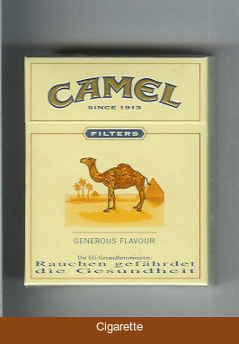 Camel Filter Generous Flavour cigarettes hard box