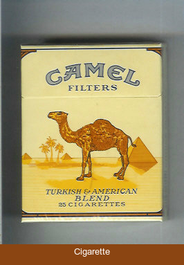 Camel Filters cigarettes king size hard box 