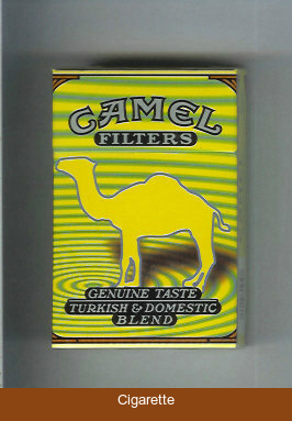 Camel Genuine Taste Turkish Domestic Blend Filters cigarettes hard box
