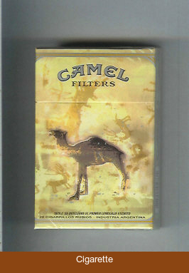Camel 1879 Se Descubre El Primer Lenguaje Escrito cigarettes hard box