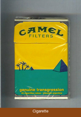 Camel Genuine Transgression Filters cigarettes hard box
