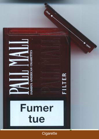 Pall Mall Famous American Cigarettes Filter cigarettes Acrylic Pack