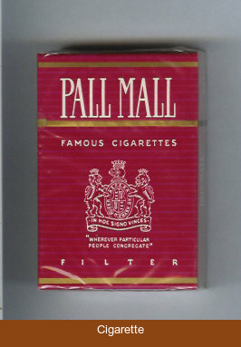Pall Mall Famous Cigarettes Filter cigarettes hard box