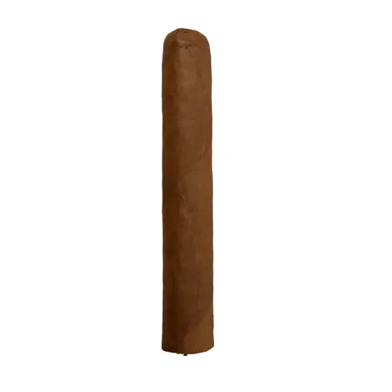 Cusano Dominican Robusto Cigar – Single