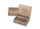 Davidoff Mini Gold (50 Cigarillos) – Single Wooden Box