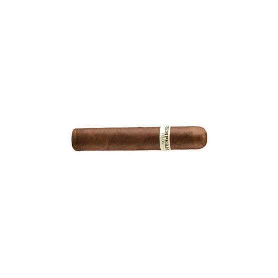 RoMa Craft Intemperance BA XXI Intrigue Cigar – Single