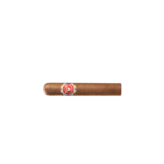 Punch Short de Punch Cigar – Single