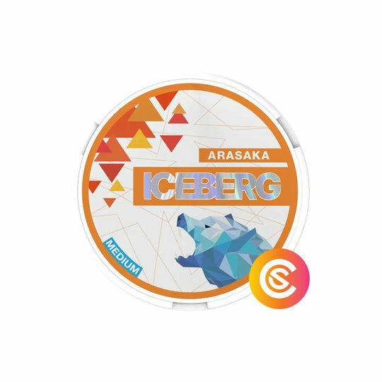 Iceberg Arasaka Medium Slim