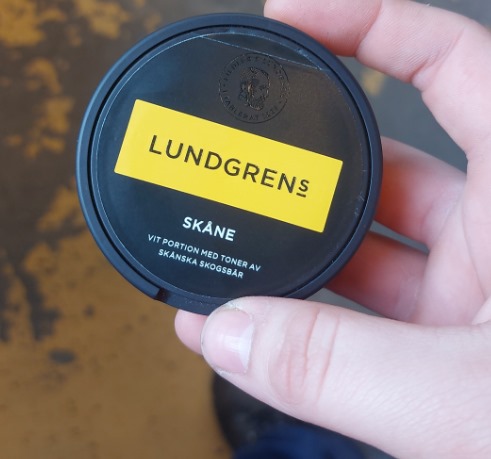 What Happens If You Swallow Snus?